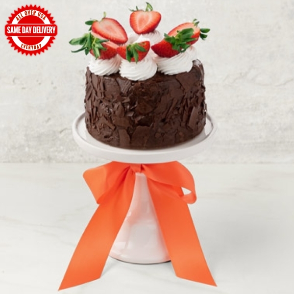 Chocolate Cake with Strawberries