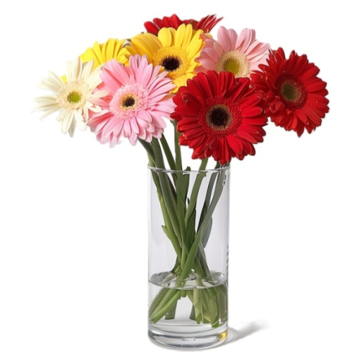 Gorgeous Gerberas
